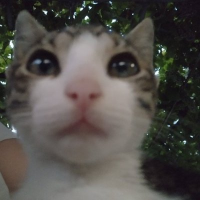 vlupdup's profile picture. 