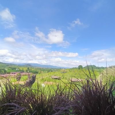 O_G_6_9_8_8_8's profile picture. 20y