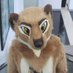Kippefir🔜AC,AWU,FM (@kippefir) Twitter profile photo Kippefir🔜AC,AWU,FM (@kippefir) Twitter profile photo