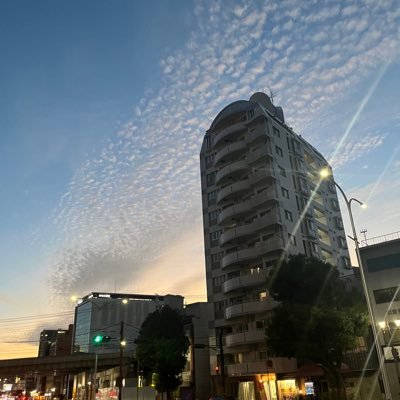 x9pPZU7iNrSWOp9's profile picture. フォロワー数とかいい。大喜利茶屋で頑張りたいだけ。シーズン7途中から。斬⚔️⚔️⚔️ ポケポケID 5697168555924693