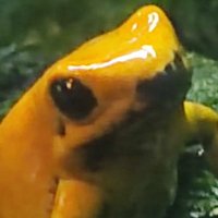 Stivn (Arts and Comics) (@stivnworks) 's Twitter Profile