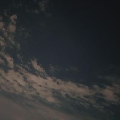 XERXES_TAKEN's profile picture. 