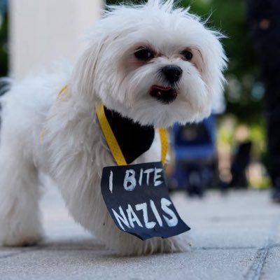 billhendricksjr's profile picture. Ectomorph