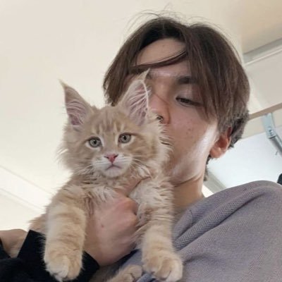 nihaoo_maii's profile picture. — 𓍯𖧷𓂃¹⁷  | was @/_maaiiinotfound