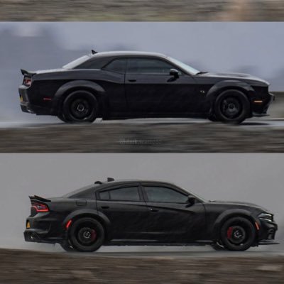 Laccnm's profile picture. 