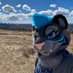Arco (@arcothewolf) Twitter profile photo Arco (@arcothewolf) Twitter profile photo