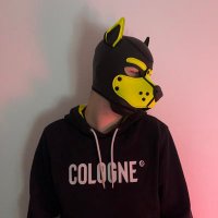 pup_dexy (@pupdexy) 's Twitter Profile Photo pup_dexy (@pupdexy) 's Twitter Profile Photo