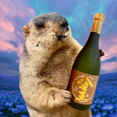Marmota_oishii's profile picture. おいしいごはんと日本酒が好きﾏﾓ☺︎あとふぐりω