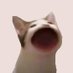 $POPCAT Official Support ✪ (@popcatsolana_12) Twitter profile photo $POPCAT Official Support ✪ (@popcatsolana_12) Twitter profile photo