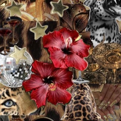 mrmr123456xx's profile picture. ..