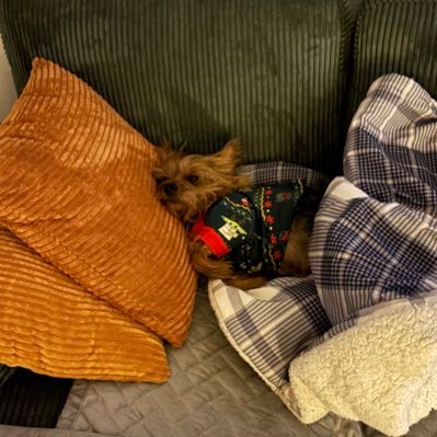 SaltLightMisfit's profile picture. $ToChante