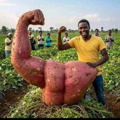 van_manh26929's profile picture. 