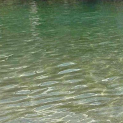 IhyyhyyMostly's profile picture. 