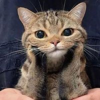 Noor ✨️🐣 (@s_akmalova) 's Twitter Profile Photo Noor ✨️🐣 (@s_akmalova) 's Twitter Profile Photo
