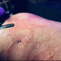 lienzomasoca (@lienzomasoca) 's Twitter Profile Photo