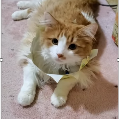 driftyt256's profile picture. @YT2Drift i backstang for grease my lovers is @YT2Drift and i love allo he my crush