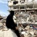 from gaza𓂆 (@sule_r_iman) Twitter profile photo from gaza𓂆 (@sule_r_iman) Twitter profile photo
