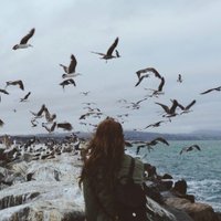 Algiexi (@algiexi86374) 's Twitter Profile