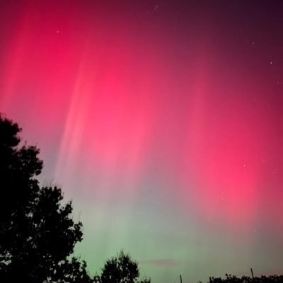 Dannyolivia81's profile picture. 