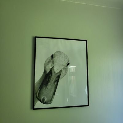 StevenAinswor19's profile picture. A sceptic at heart but... I doubt it at times. Christian with a dark sense of humour.