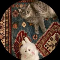 s (@chaitealatttee) 's Twitter Profile Photo