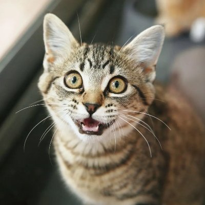 timescen's profile picture. 