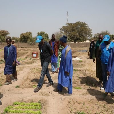 CDiouara's profile picture. Média - Communication