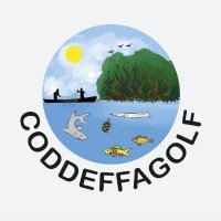 CODDEFFAGOLF_Hn (@coddeffagolf_hn) 's Twitter Profile