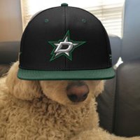 Brian C (@brianhwc) 's Twitter Profile Photo Brian C (@brianhwc) 's Twitter Profile Photo