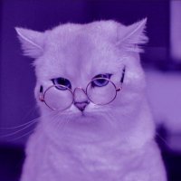 mynetbilgi (@mynetbilgi) 's Twitter Profile