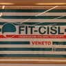 FITCISLVeneto's profile picture. 