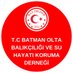 BATOBDER (@batobder72) Twitter profile photo BATOBDER (@batobder72) Twitter profile photo
