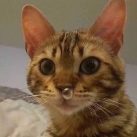 mocosa maleducada (@marija_ccc) 's Twitter Profile