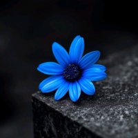 🇹🇷gül🇹🇷 (@isimyok1001) 's Twitter Profile