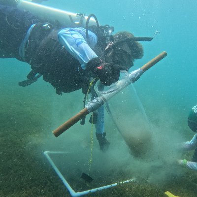 Res Asst Prof, Institute of Environment @FIU
Interested in seascape dynamics, coastal vegetated ecosystems, remote sensing. Data minded. At home underwater