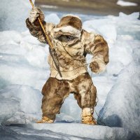 Polar Hunt (@polar_hunt) 's Twitter Profile Photo Polar Hunt (@polar_hunt) 's Twitter Profile Photo