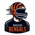 obscure bengals (@obscure_bengals) Twitter profile photo obscure bengals (@obscure_bengals) Twitter profile photo