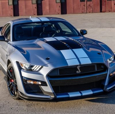 _alishamahmood's profile picture. Developer... Love building things with JavaScript. Enhance them with Backend.
