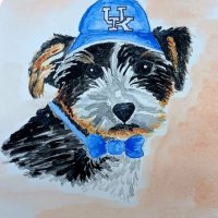 #1 Wildcat Fan (@bigbluedonna) 's Twitter Profile
