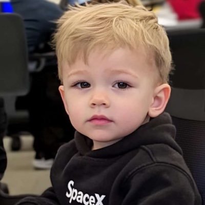 CEO, and Chief Designer of Space
CEO of Tesla and Twitter
Founder of The Boring Company Co-founder of Neuralink, OpenAl