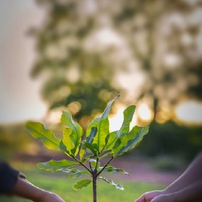 karmnjbdor's profile picture. Love nature 🌲🌿