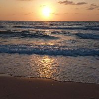 Sahar Abo matar (@sahar_abo_matar) 's Twitter Profile