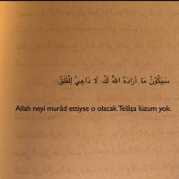 Suna Aktepe (@aktepesuna61587) Twitter profile photo