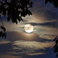 vollmondinfo's profile picture. Wissenswertes, Mystisches und Unterhaltsames zum Thema Vollmond. Wir folgen dem Mond – folgen Sie uns!