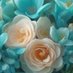 د/هناء محمد (@444x55) Twitter profile photo د/هناء محمد (@444x55) Twitter profile photo