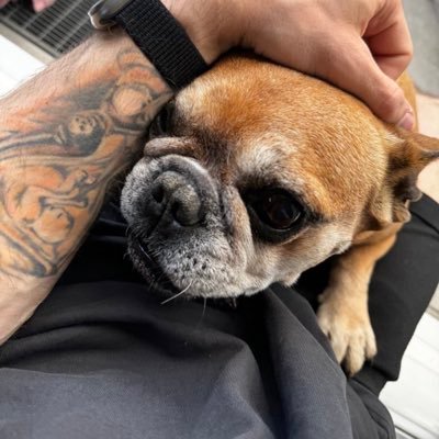 FD_Therapist's profile picture. @junglerockres