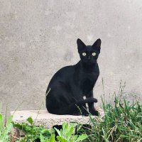 الملك الضليل | عبدالرحمن (@abdullrahmanku1) 's Twitter Profile