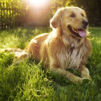 jamesalberto551's profile picture. #CryptoCurrency #Crypto #BTC
 #bitcointalk #Bl #followmeplease #followers #follow4followback #followme #followback #likeforfollow #followmefollowback #subscribe