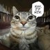 Conjma (@conjmadbd) Twitter profile photo Conjma (@conjmadbd) Twitter profile photo
