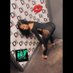 Mzz.Fantasyyy (@sexuallyseduct1) Twitter profile photo Mzz.Fantasyyy (@sexuallyseduct1) Twitter profile photo